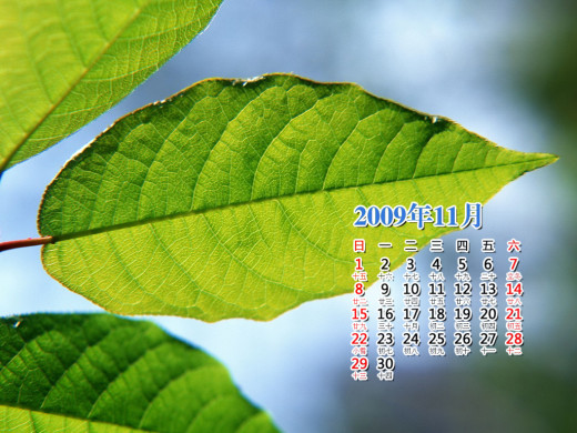 400614 (a): :1024x768
